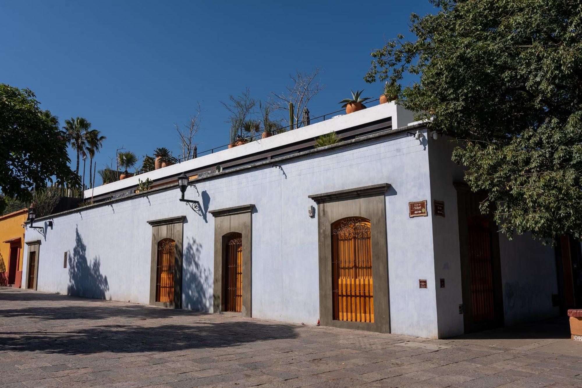 Casa Carmen Xolotl Hotel Oaxaca Eksteriør billede