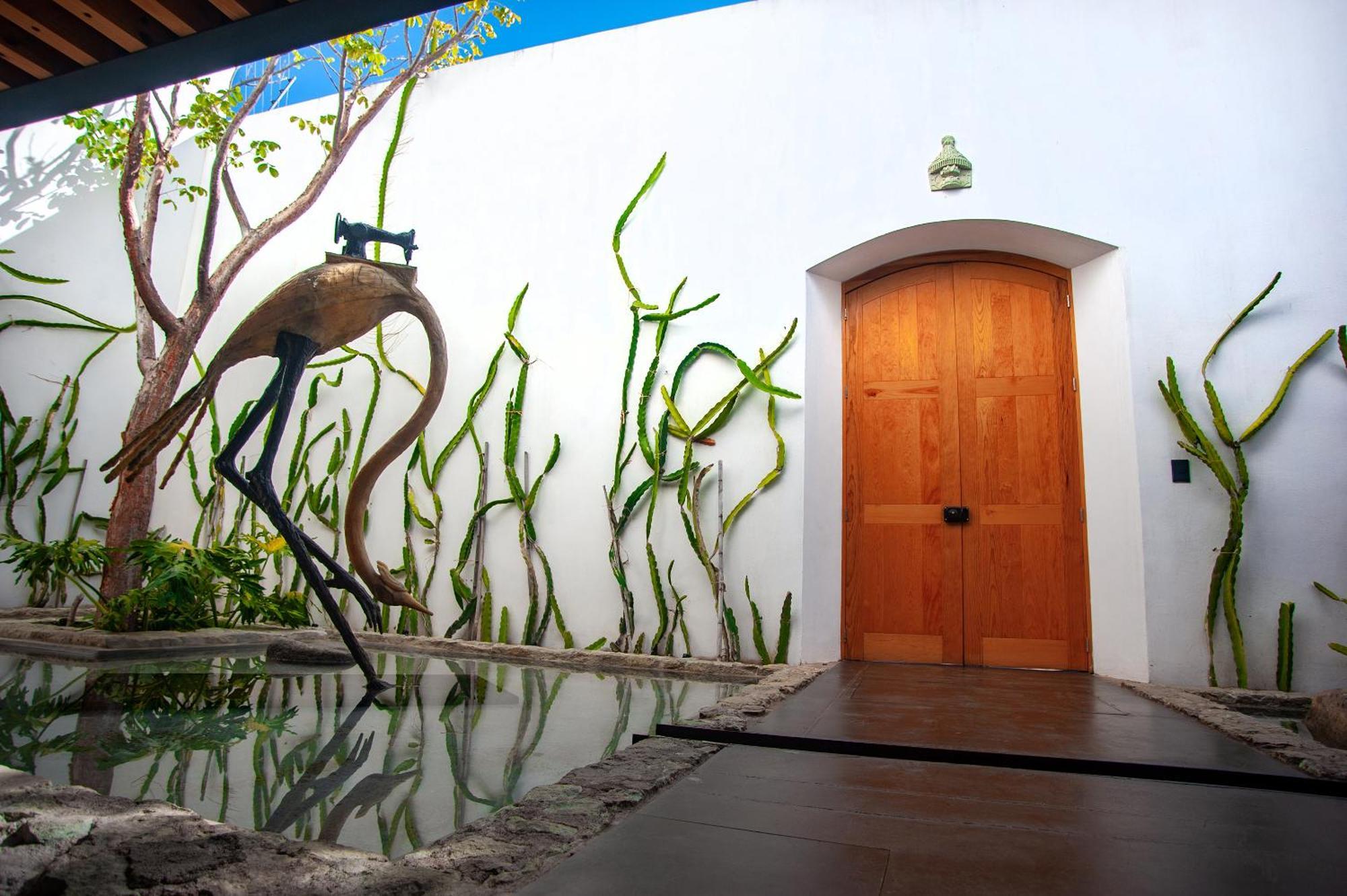 Casa Carmen Xolotl Hotel Oaxaca Eksteriør billede